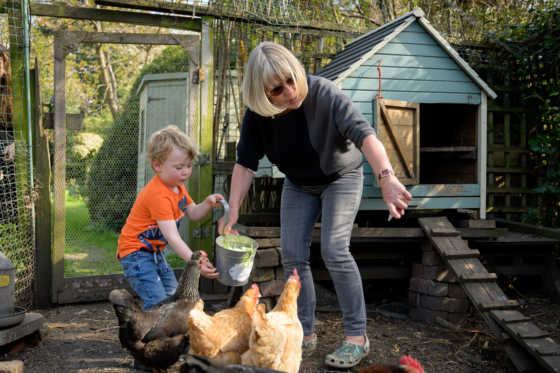 Photo of grandmother with grandchild together in the garden feeding chickens