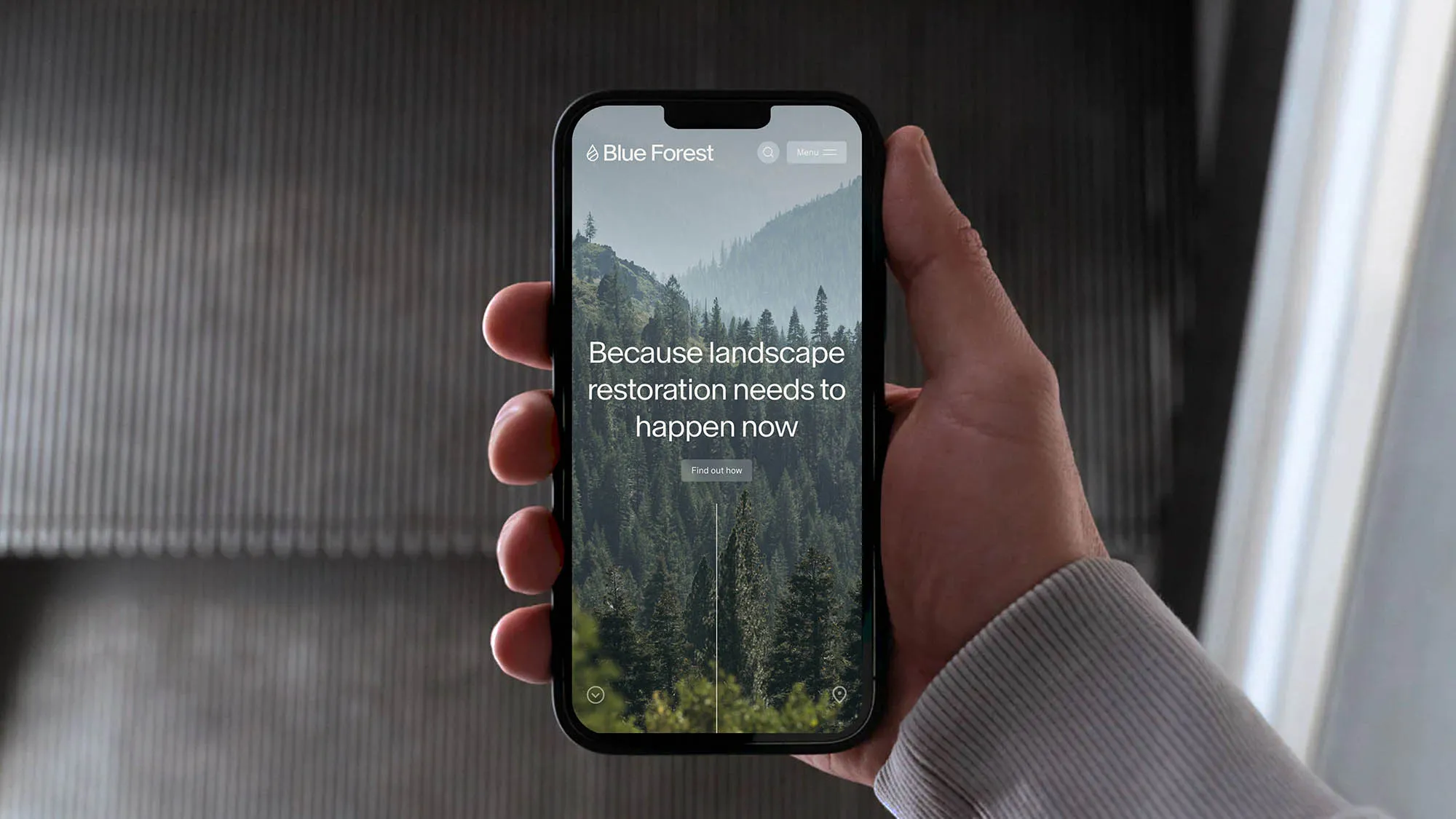 Blue Forest website displayed on a mobile